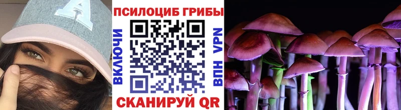 цены   Самара  Псилоцибиновые грибы Psilocybine cubensis 